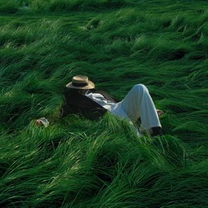 少萝被又爽又黄菠
